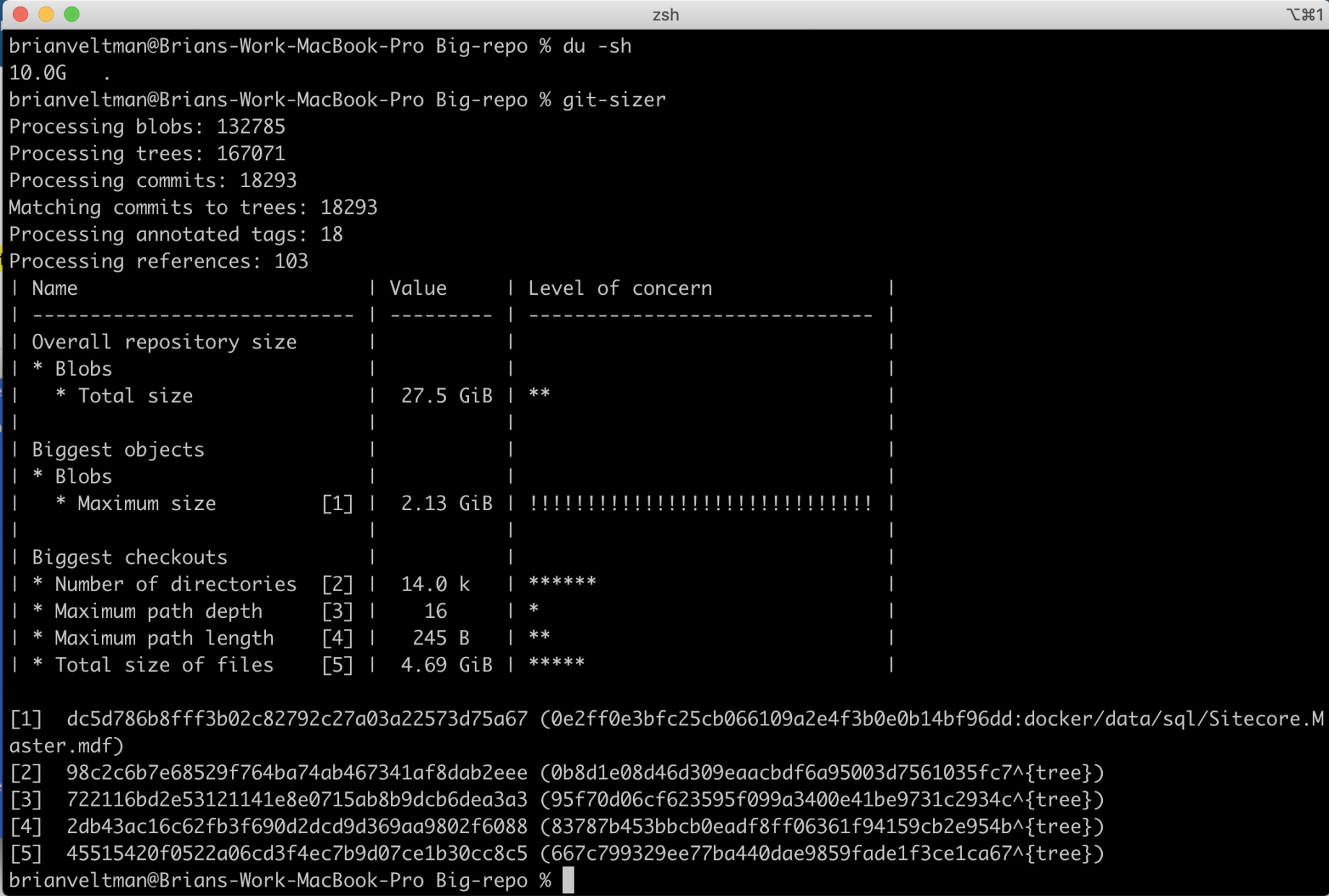 Screenshot of git-sizer output